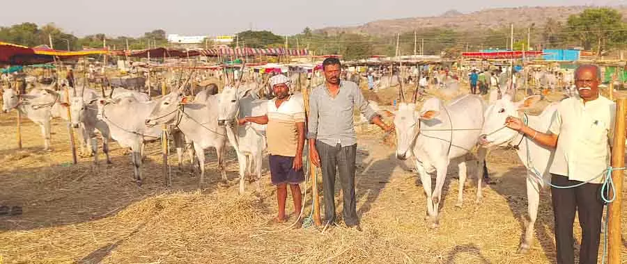 Karnataka: मधुगिरी मेले में गांव की कारों की खरीदारी में उछाल Karnataka: मधुगिरी मेले में गांव की कारों की खरीदारी में उछाल