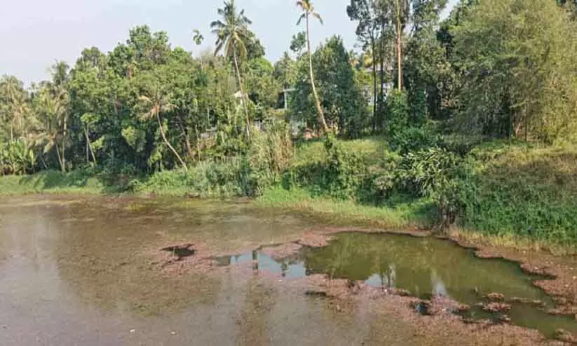 Kerala: कुंदूर नहर के निर्माण और संरक्षण के लिए 20 लाख रुपये Kerala: कुंदूर नहर के निर्माण और संरक्षण के लिए 20 लाख रुपये