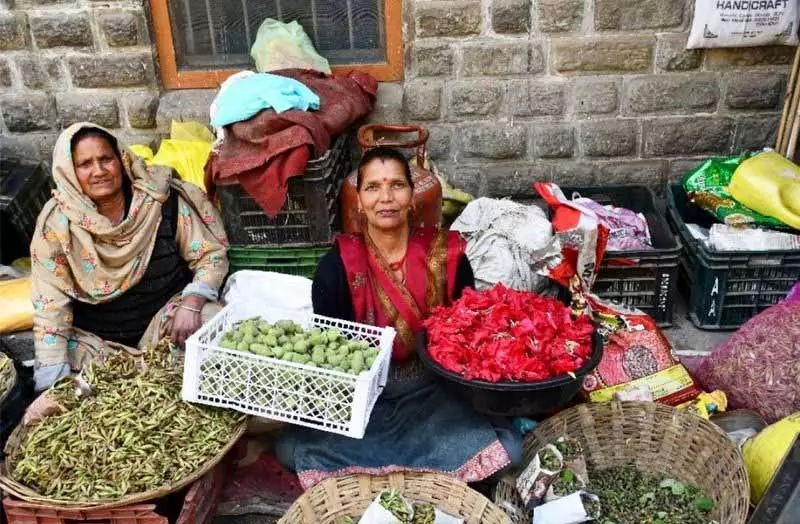 Himachal: दादी-नानी से सीखें, जंगली खाने वाले पौधों की मौखिक परंपराएं Himachal: दादी-नानी से सीखें, जंगली खाने वाले पौधों की मौखिक परंपराएं
