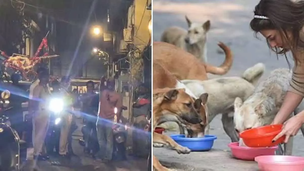 Mumbai : आवारा बिल्लियों को खाना खिला रही महिला को परेशान करने के आरोप में आदमी पर केस दर्ज Mumbai : आवारा बिल्लियों को खाना खिला रही महिला को परेशान करने के आरोप में आदमी पर केस दर्ज
