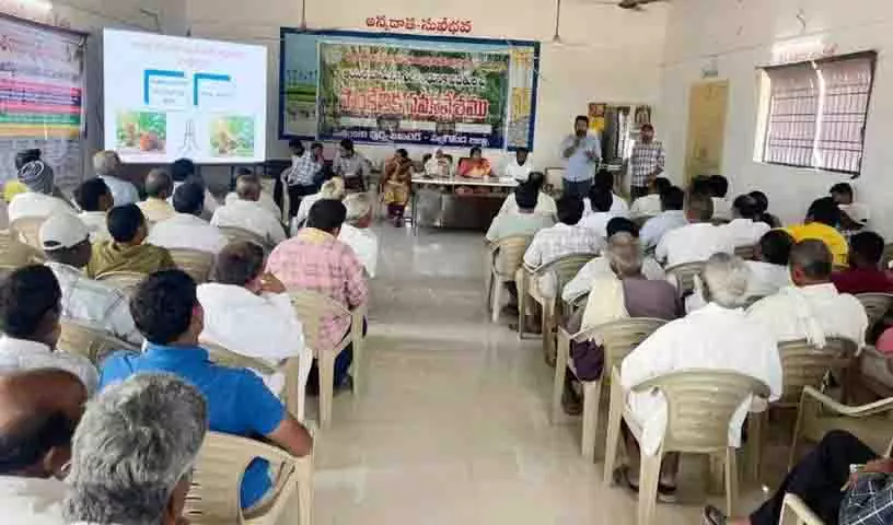 धान के किसान अब अपना ध्यान Oil Palm की खेती की ओर लगा रहे धान के किसान अब अपना ध्यान Oil Palm की खेती की ओर लगा रहे