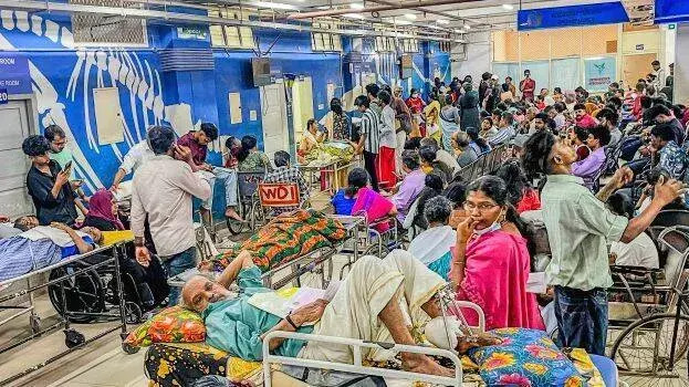 Kerala : डॉक्टरों का विरोध प्रदर्शन तेज़; सरकार ने मौत को गैर-कानूनी घोषित किया Kerala : डॉक्टरों का विरोध प्रदर्शन तेज़; सरकार ने मौत को गैर-कानूनी घोषित किया