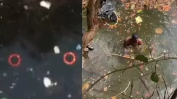 Kerala: मलप्पुरम अठावनाड में पानी भरी खदान में लॉरी गिरी Kerala: मलप्पुरम अठावनाड में पानी भरी खदान में लॉरी गिरी