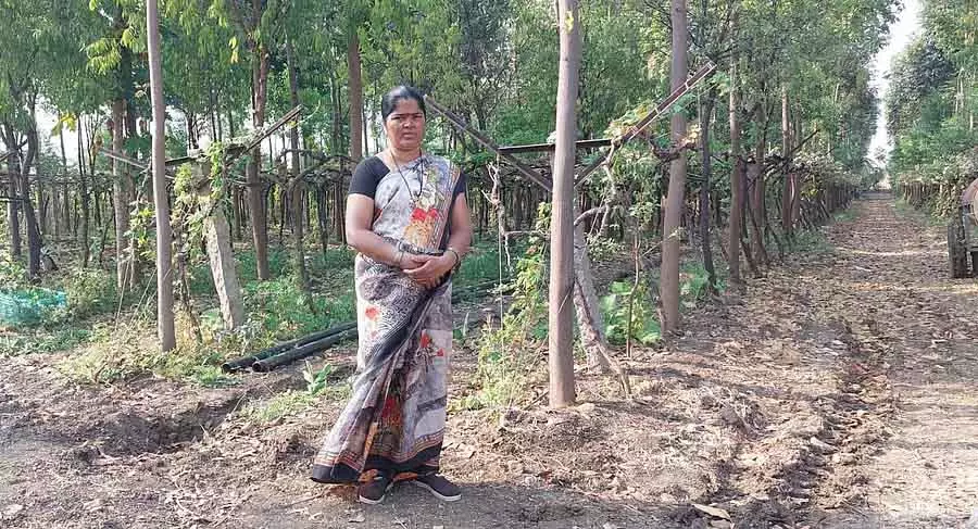 Karnataka : महिला किसान जिसने ज़मीन के एक छोटे से टुकड़े पर बहुत ज़्यादा मुनाफ़ा कमाया Karnataka : महिला किसान जिसने ज़मीन के एक छोटे से टुकड़े पर बहुत ज़्यादा मुनाफ़ा कमाया