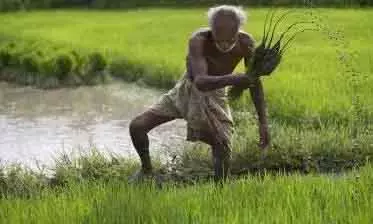 RySS की APCNF पहल के तहत आंध्र प्रदेश में रीजनल नेटवर्किंग मीटिंग्स RySS की APCNF पहल के तहत आंध्र प्रदेश में रीजनल नेटवर्किंग मीटिंग्स