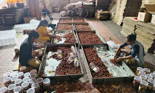 Indore : अस्वच्छ हालत में तैयार किए जा रहे 1600 किलो गुलाब जामुन जब्त Indore : अस्वच्छ हालत में तैयार किए जा रहे 1600 किलो गुलाब जामुन जब्त