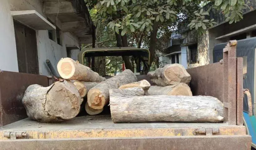 Kumram Bheem आसिफाबाद में सागौन की लकड़ी की तस्करी के आरोप में वन अधिकारी पर मामला दर्ज Kumram Bheem आसिफाबाद में सागौन की लकड़ी की तस्करी के आरोप में वन अधिकारी पर मामला दर्ज