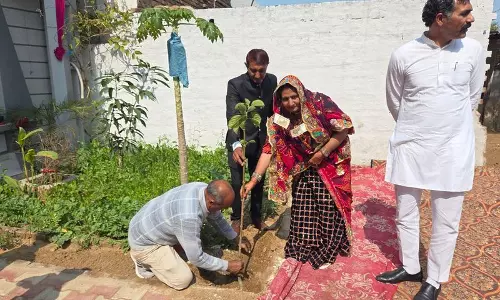 Haryana : भिवानी में इस भात समारोह में हरा रंग नया सोना है