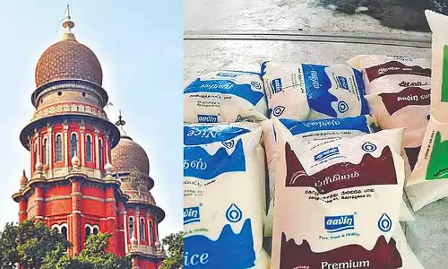 Madras HC ने आविन से कहा, नीलगिरी के लोगों के लिए नॉन-प्लास्टिक दूध के पैकेट इस्तेमाल करें