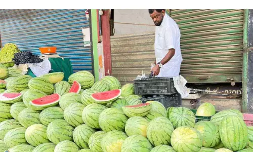Ramadan और गर्मी एक साथ; तरबूज फल बाजार में स्टार है Ramadan और गर्मी एक साथ; तरबूज फल बाजार में स्टार है