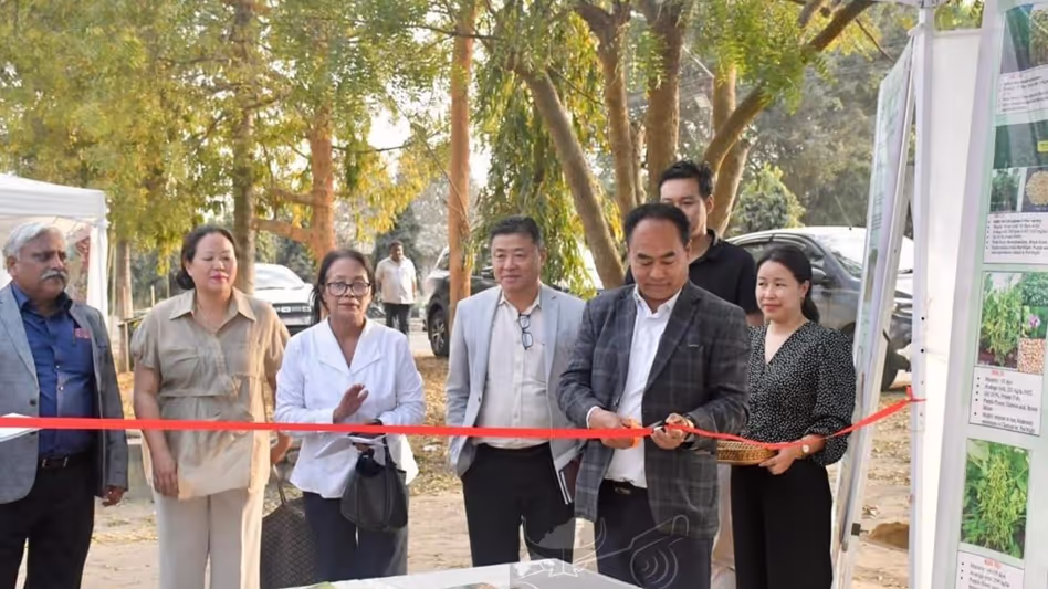 Nagaland में उत्पादन बढ़ाने के लिए चुमौकेदिमा में सोयाबीन महोत्सव शुरू हुआ