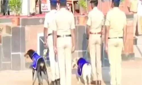 Vijayapura Police ने सेवा पूरी करने पर कुत्तों रक्षा और स्टेला को विदाई दी Vijayapura Police ने सेवा पूरी करने पर कुत्तों रक्षा और स्टेला को विदाई दी