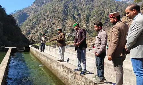Shahpur की बोह घाटी हिमाचल का पहला ट्राउट हब बनने को तैयार Shahpur की बोह घाटी हिमाचल का पहला ट्राउट हब बनने को तैयार