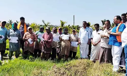 केंद्र सरकार का लक्ष्य एक विकसित भारत बनाना है: MLA