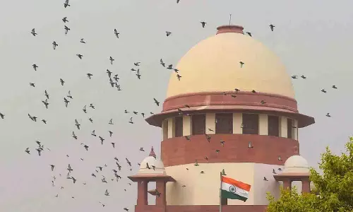 स्वच्छ पर्यावरण जीवन का अधिकार: SC ने कचरा प्रबंधन पर पूरे देश में निर्देश जारी किए स्वच्छ पर्यावरण जीवन का अधिकार: SC ने कचरा प्रबंधन पर पूरे देश में निर्देश जारी किए