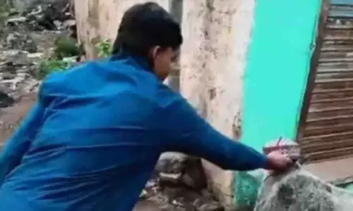 नाबालिगों ने गायों को टोपी पहनाई, ‘आहत’ गौरक्षकों ने FIR दर्ज कराई नाबालिगों ने गायों को टोपी पहनाई, ‘आहत’ गौरक्षकों ने FIR दर्ज कराई