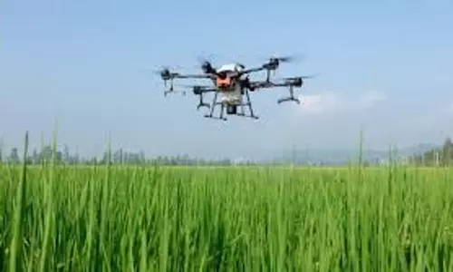 Odisha सरकार ने किसानों का मुनाफ़ा बढ़ाने के लिए खेती में AI को अपनाया Odisha सरकार ने किसानों का मुनाफ़ा बढ़ाने के लिए खेती में AI को अपनाया