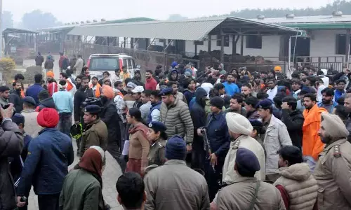जांच में Raipur Kalan में मवेशियों की मौत में गड़बड़ी की बात खारिज