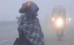 Haryana:फिर लौटी ठंड, कई इलाकों में छाई गहरी धुंध Haryana:फिर लौटी ठंड, कई इलाकों में छाई गहरी धुंध