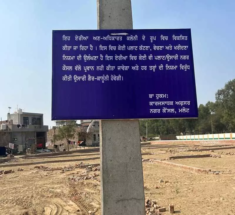 Punjab: मंत्री के निर्देश के बाद मलोट में बिना मंज़ूरी वाली कॉलोनी पर कार्रवाई होगी Punjab: मंत्री के निर्देश के बाद मलोट में बिना मंज़ूरी वाली कॉलोनी पर कार्रवाई होगी