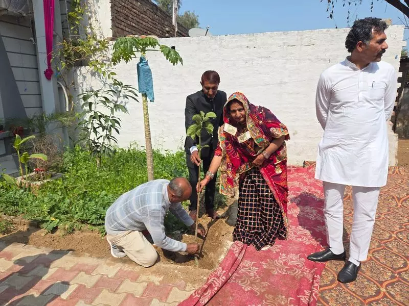 Haryana : भिवानी में इस भात समारोह में हरा रंग नया सोना है Haryana : भिवानी में इस भात समारोह में हरा रंग नया सोना है