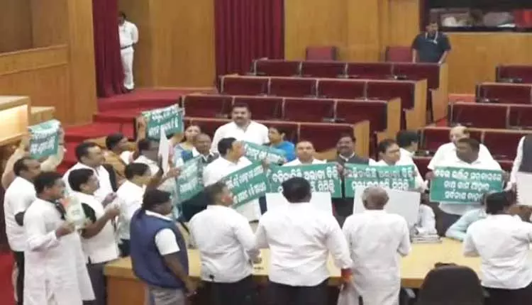 धान खरीद पर विधायकों के विरोध के बीच Odisha विधानसभा स्थगित धान खरीद पर विधायकों के विरोध के बीच Odisha विधानसभा स्थगित