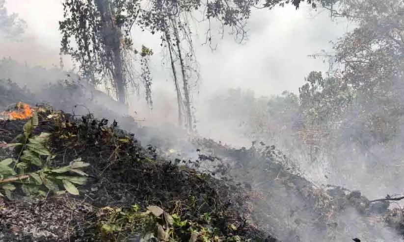 Kerala : कोन्नाकौड एस्टेट और जंगल की सीमा में आग लग गई Kerala : कोन्नाकौड एस्टेट और जंगल की सीमा में आग लग गई