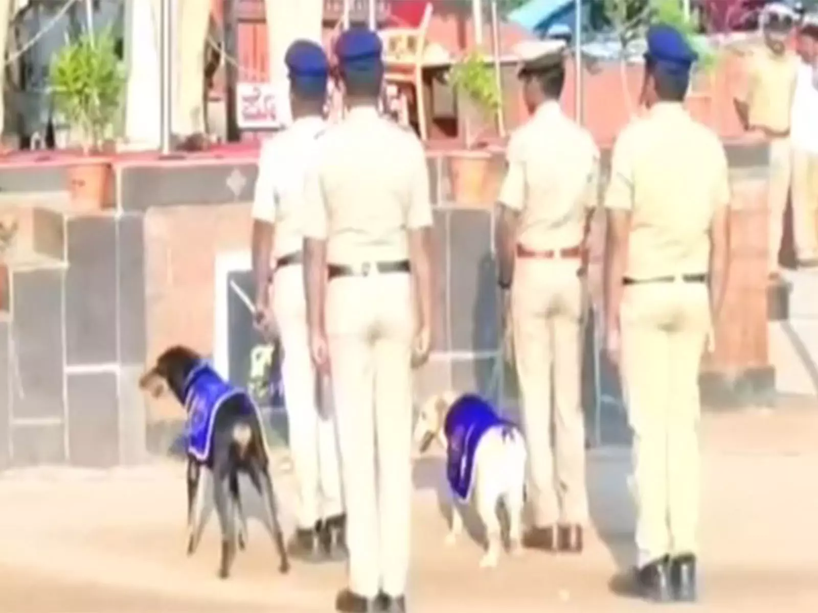 Vijayapura Police ने सेवा पूरी करने पर कुत्तों रक्षा और स्टेला को विदाई दी Vijayapura Police ने सेवा पूरी करने पर कुत्तों रक्षा और स्टेला को विदाई दी