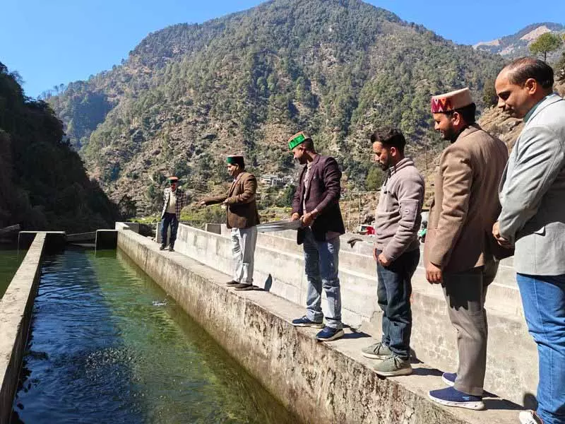 Shahpur की बोह घाटी हिमाचल का पहला ट्राउट हब बनने को तैयार Shahpur की बोह घाटी हिमाचल का पहला ट्राउट हब बनने को तैयार