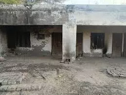 Behl: आवारा पशुओं का बसेरा बना वृद्धाश्रम परिसर Behl: आवारा पशुओं का बसेरा बना वृद्धाश्रम परिसर