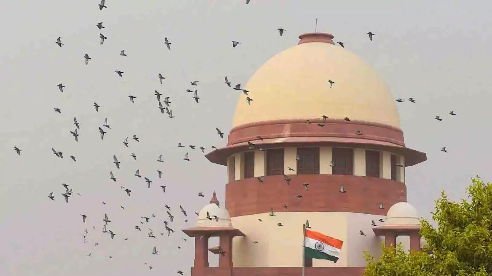 स्वच्छ पर्यावरण जीवन का अधिकार: SC ने कचरा प्रबंधन पर पूरे देश में निर्देश जारी किए स्वच्छ पर्यावरण जीवन का अधिकार: SC ने कचरा प्रबंधन पर पूरे देश में निर्देश जारी किए