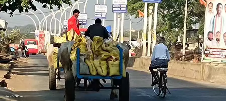 Honnali : बैलगाड़ी में रेत की ढुलाई Honnali : बैलगाड़ी में रेत की ढुलाई
