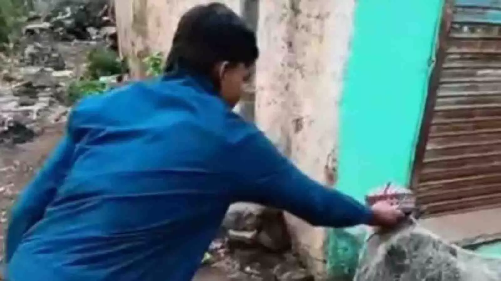 नाबालिगों ने गायों को टोपी पहनाई, ‘आहत’ गौरक्षकों ने FIR दर्ज कराई नाबालिगों ने गायों को टोपी पहनाई, ‘आहत’ गौरक्षकों ने FIR दर्ज कराई