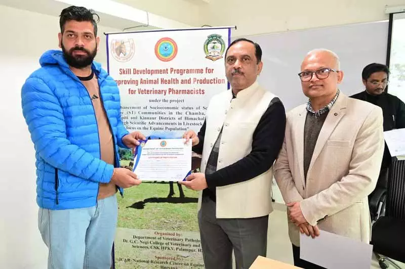 Palampur: जानवरों में दवाओं के अंधाधुंध इस्तेमाल से एंटीबायोटिक रेजिस्टेंस पर ज़ोर Palampur: जानवरों में दवाओं के अंधाधुंध इस्तेमाल से एंटीबायोटिक रेजिस्टेंस पर ज़ोर