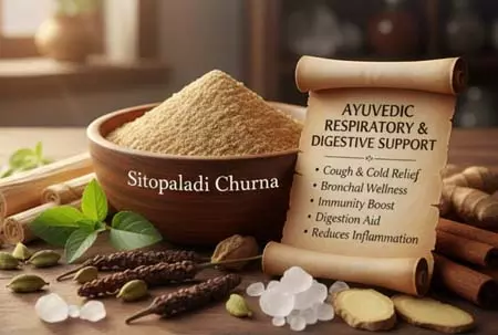 Ayurvedic का प्राचीन उपाय सितोपलादि चूर्ण, खांसी-जुकाम से राहत और इम्युनिटी बढ़ाने में कारगर Ayurvedic का प्राचीन उपाय सितोपलादि चूर्ण, खांसी-जुकाम से राहत और इम्युनिटी बढ़ाने में कारगर