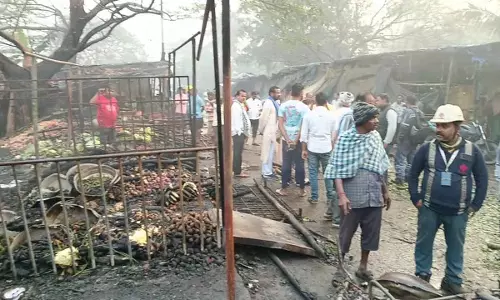 Odisha : पारादीप में सब्जी मंडी में आग लगने से 50 से ज़्यादा दुकानें जलकर राख हो गई Odisha : पारादीप में सब्जी मंडी में आग लगने से 50 से ज़्यादा दुकानें जलकर राख हो गई