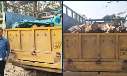 Haryana: वन संपदा की तस्करी पर वन विभाग ने बड़ी कार्रवाई, आरोपी फरार Haryana: वन संपदा की तस्करी पर वन विभाग ने बड़ी कार्रवाई, आरोपी फरार