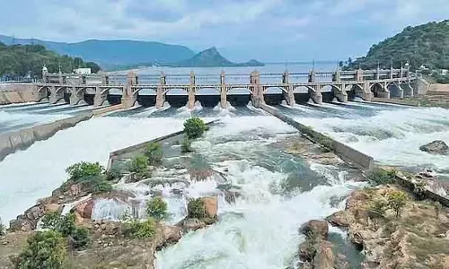 राज्य के जलाशयों में Water का स्टोरेज लेवल गिरा: गर्मियों में पीने के पानी की दिक्कत राज्य के जलाशयों में Water का स्टोरेज लेवल गिरा: गर्मियों में पीने के पानी की दिक्कत