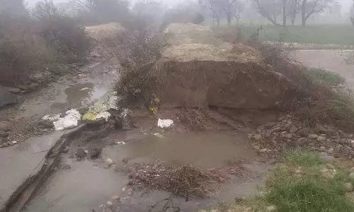 Talwara village के पास नहर टूटने से गेहूं की फसल को नुकसान Talwara village के पास नहर टूटने से गेहूं की फसल को नुकसान