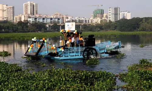 Powai झील की सफाई में तेज़ी, 112 पेड़ों को ट्रांसप्लांट करने के प्लान पर चिंता बढ़ी Powai झील की सफाई में तेज़ी, 112 पेड़ों को ट्रांसप्लांट करने के प्लान पर चिंता बढ़ी