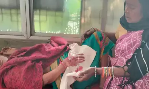 पागल कुत्तों का आतंक, 3 गांवों में 5 लोगों पर किया हमला पागल कुत्तों का आतंक, 3 गांवों में 5 लोगों पर किया हमला