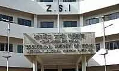Pune : ZSI में आज वेस्टर्न घाट ज़ूलॉजिकल कलेक्शन सेंटर की नींव रखी जाएगी Pune : ZSI में आज वेस्टर्न घाट ज़ूलॉजिकल कलेक्शन सेंटर की नींव रखी जाएगी