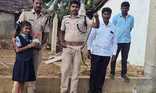 Mundgod : पायजामा उतारते समय मिले सांप को बचाया गया; अंडे जमा किए गए Mundgod : पायजामा उतारते समय मिले सांप को बचाया गया; अंडे जमा किए गए