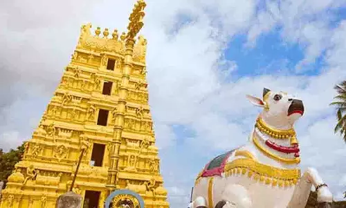 श्रीशैलम में VIP कॉटेज में आग लगी, श्रद्धालु खतरे से बचे श्रीशैलम में VIP कॉटेज में आग लगी, श्रद्धालु खतरे से बचे