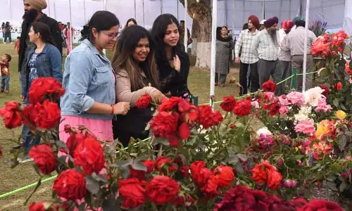 Chandigarh: 54वां स्वच्छ रोज़ फ़ेस्टिवल पुरस्कार वितरण समारोह के साथ संपन्न हुआ