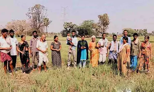 सिंचाई के पानी की समस्या से किसानों की चिंताएँ बढ़ने लगी सिंचाई के पानी की समस्या से किसानों की चिंताएँ बढ़ने लगी