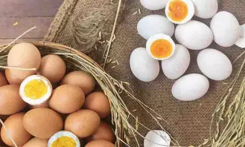 Brown Vs White Eggs में से किसमें ज़्यादा पोषक तत्व होते हैं? Brown Vs White Eggs में से किसमें ज़्यादा पोषक तत्व होते हैं?