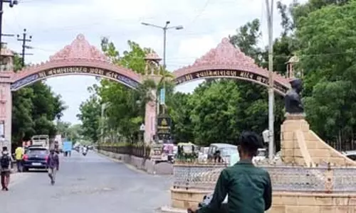 Gujarat के कच्छ जिले का घेडी गांव जीरा खेती के मामले में बना मिसाल