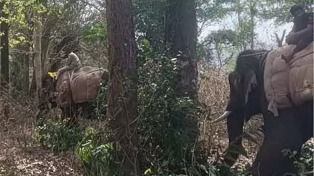 Chikkamagaluru में जंगली हाथी के हमले का एक और शिकार; गुंडे को आखिरकार गिरफ्तार कर लिया गया Chikkamagaluru में जंगली हाथी के हमले का एक और शिकार; गुंडे को आखिरकार गिरफ्तार कर लिया गया
