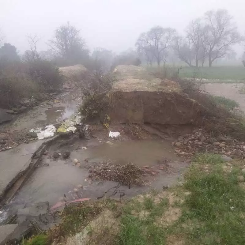 Talwara village के पास नहर टूटने से गेहूं की फसल को नुकसान Talwara village के पास नहर टूटने से गेहूं की फसल को नुकसान